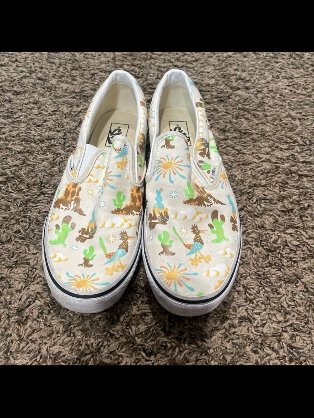 Vans classic slip on shoes get outdoors men’s size 11.5